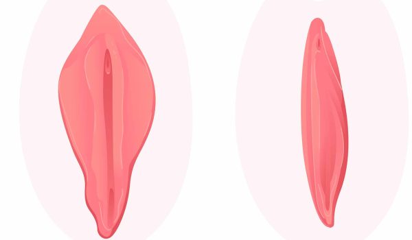 les grandes lèvres 2